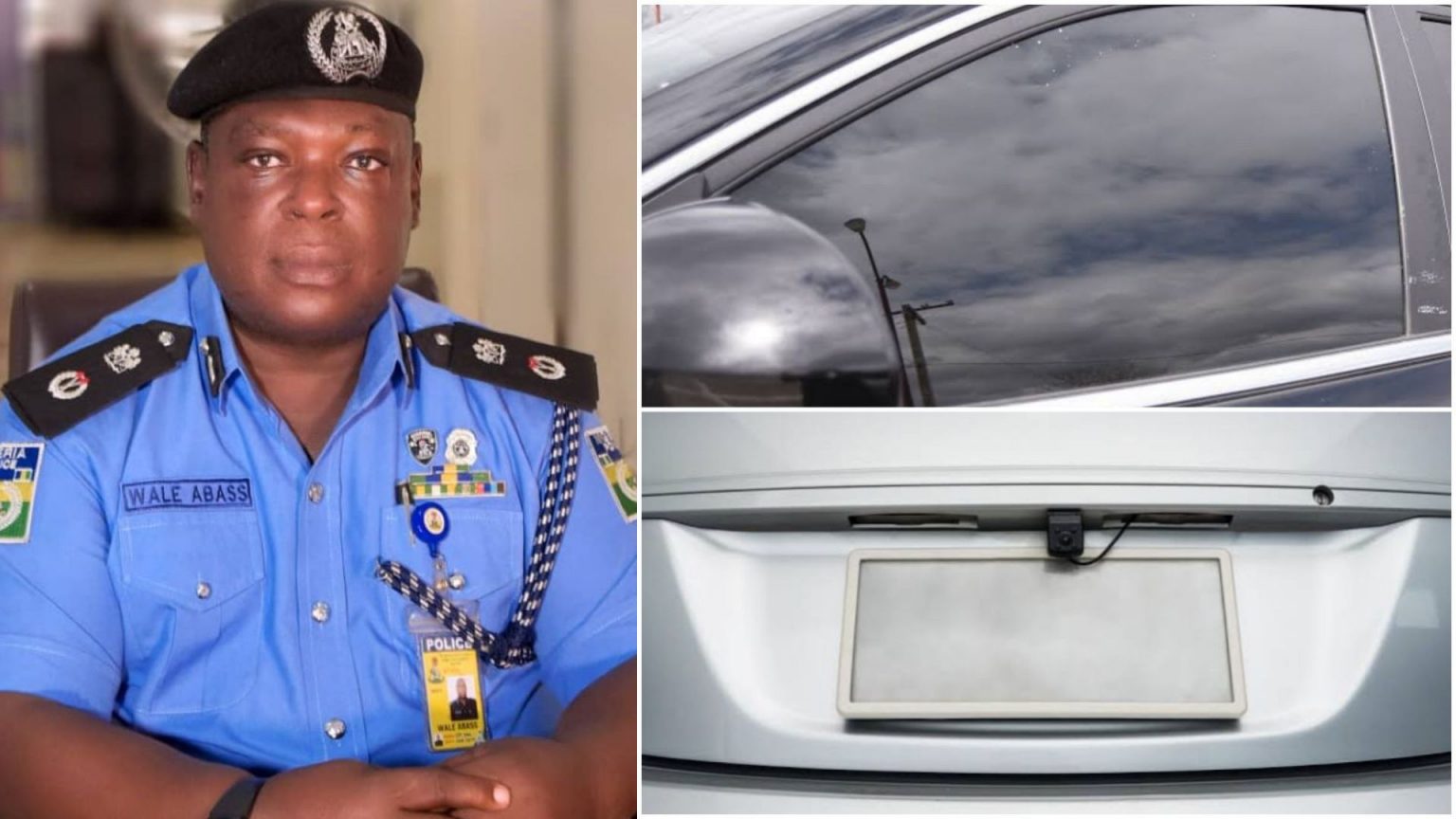 Delta State police commissioner Wale Abass