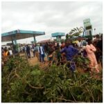 Fallen tree kills two, injures 10 in Kwara