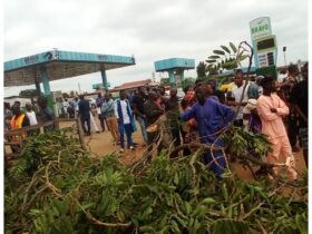 Fallen tree kills two, injures 10 in Kwara