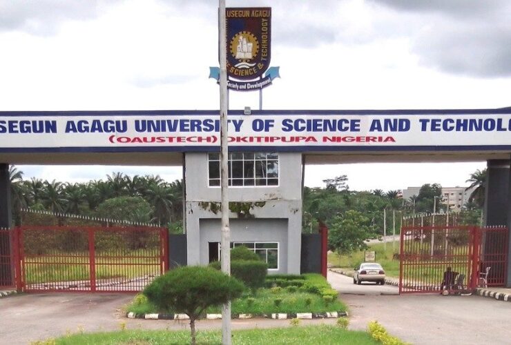 Olusegun Agagu University of Science and Technology, Okitipupa