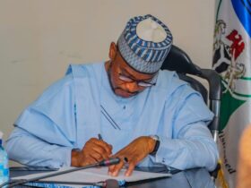 Zamfara State Governor, Dauda Lawal