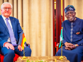 German President vs President Tinubu